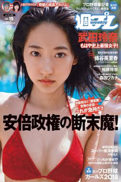 烈火军校电视剧免费观看全集